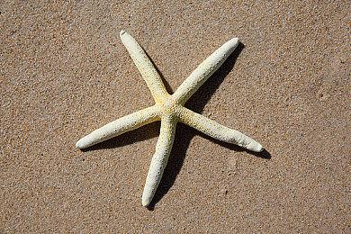 《圣剑传说：复刻版》已登陆IOS和安卓平台 售价约140元